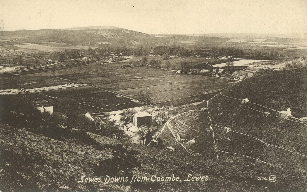 Rothschild's list The Wildlife Trusts